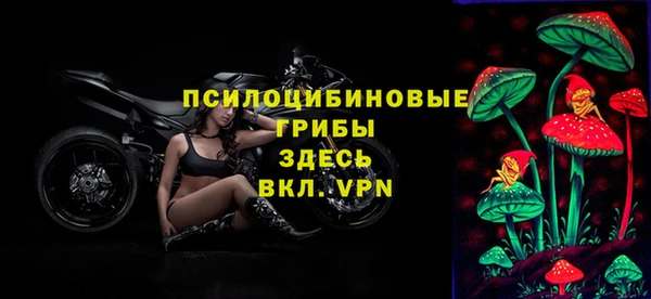 спиды Бугульма