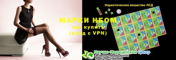 хмурый Верея
