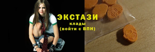 хмурый Верея