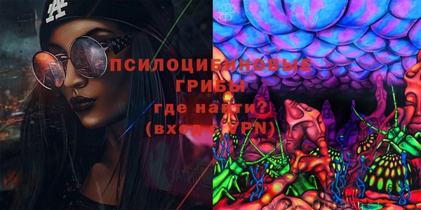 хмурый Верея