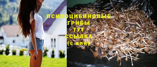 гашишное масло Пролетарск