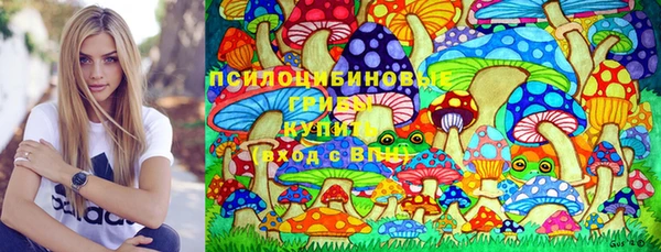 хмурый Верея