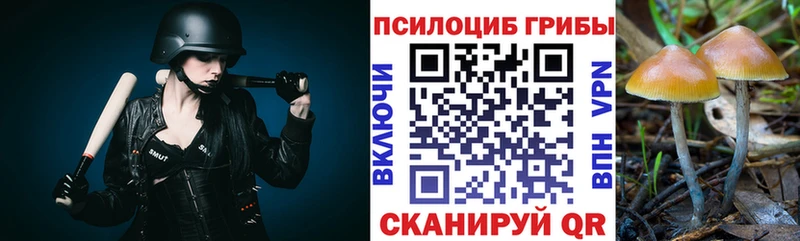 Галлюциногенные грибы мицелий Канск